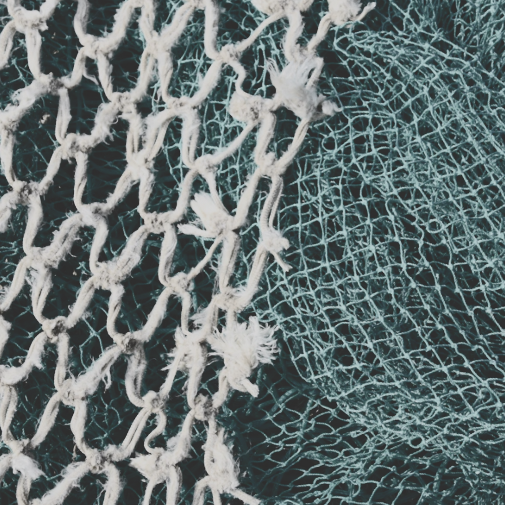 The Hidden Danger Under the Ocean: Illegal Fishing and Its Impact