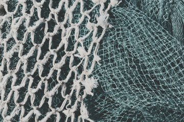 The Hidden Danger Under the Ocean: Illegal Fishing and Its Impact