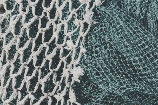 The Hidden Danger Under the Ocean: Illegal Fishing and Its Impact